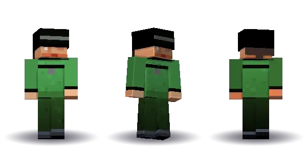Green wizard with a ponytail. Hair is ponytail, the face is calm, the top is robe and the legs are trousers. Extras: widebrim. The top colour is #4a9d4f.